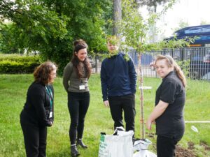 Foundation and Supported Studies students planting a tree at Reading College